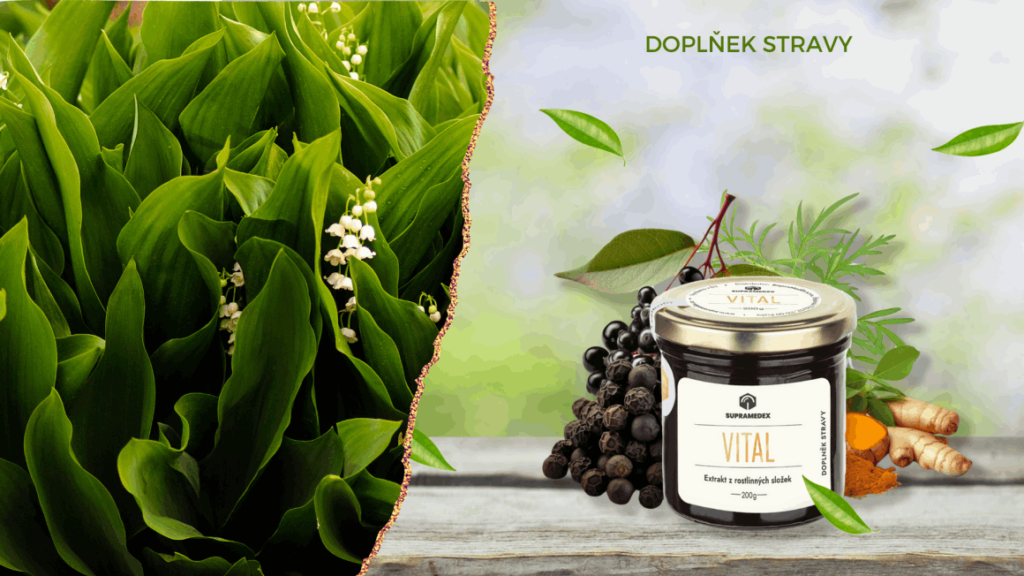 16 9 vital 2 1160x652 1 | VITAL v medu