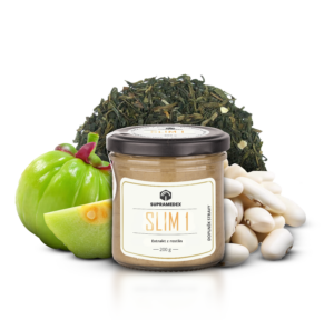 slim 1 vizualizace | Úvod