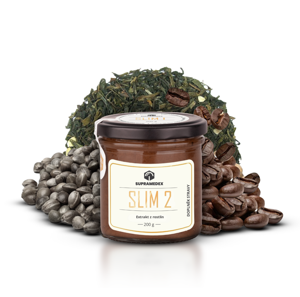 slim 2 vizualziace | SLIM 2 v medu